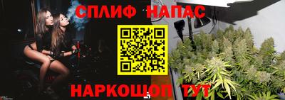 spice Обнинск